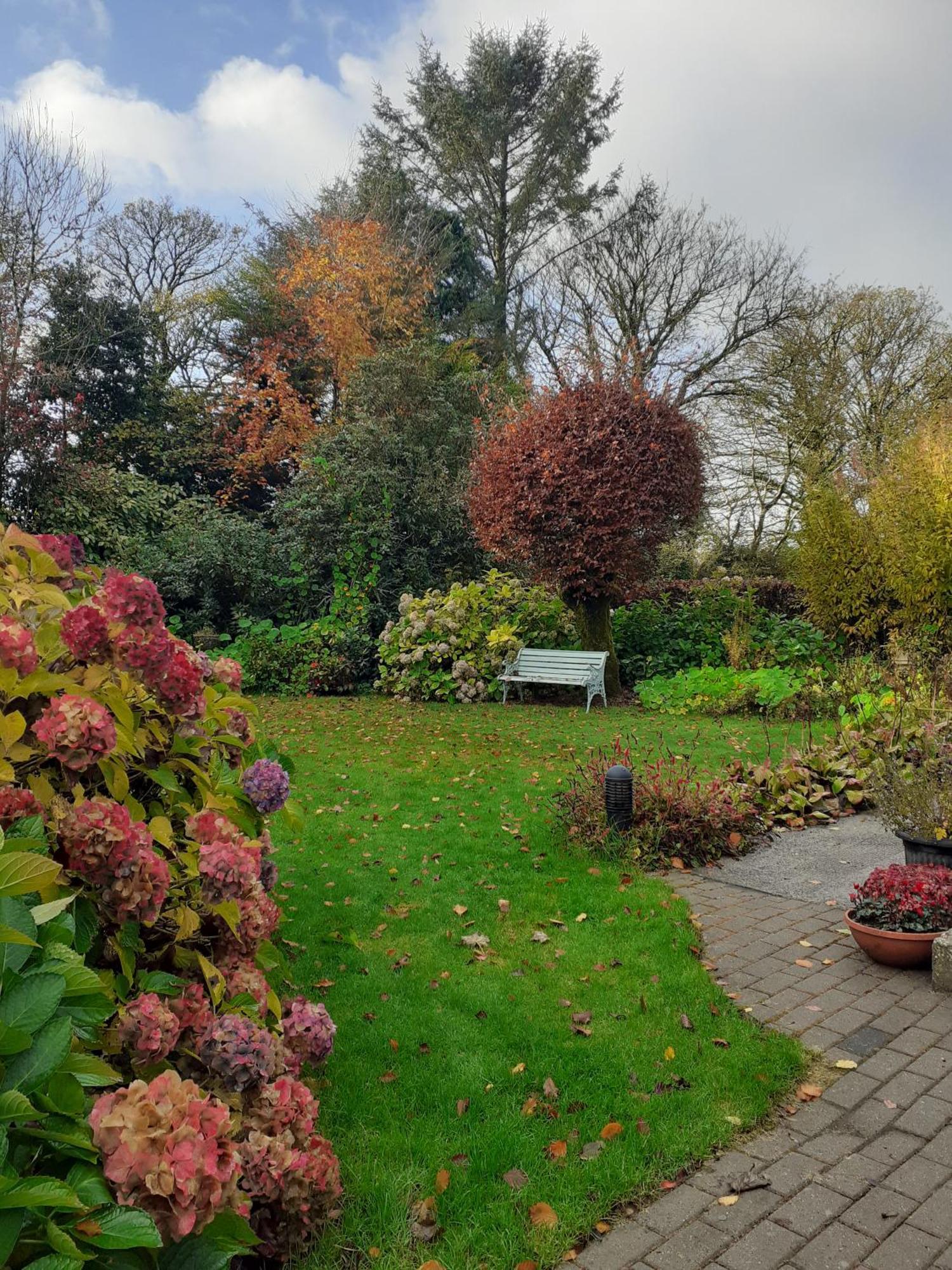 Conways B&B Claremorris Exterior photo