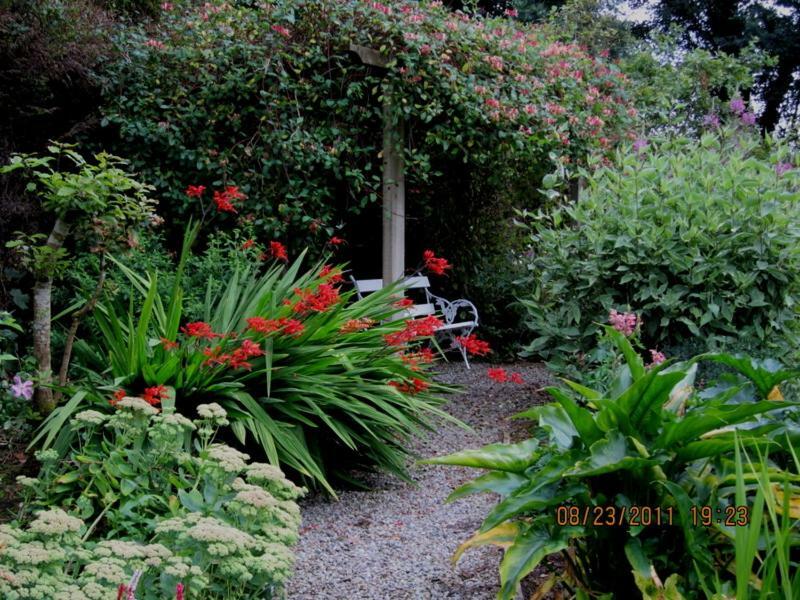 Conways B&B Claremorris Exterior photo