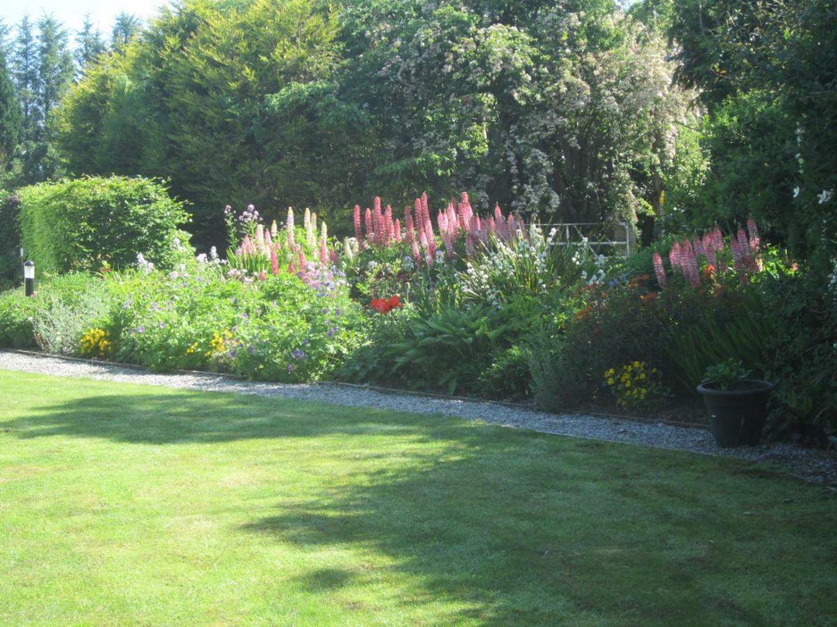 Conways B&B Claremorris Exterior photo